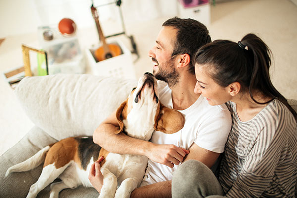 Happy couple playing with their dog